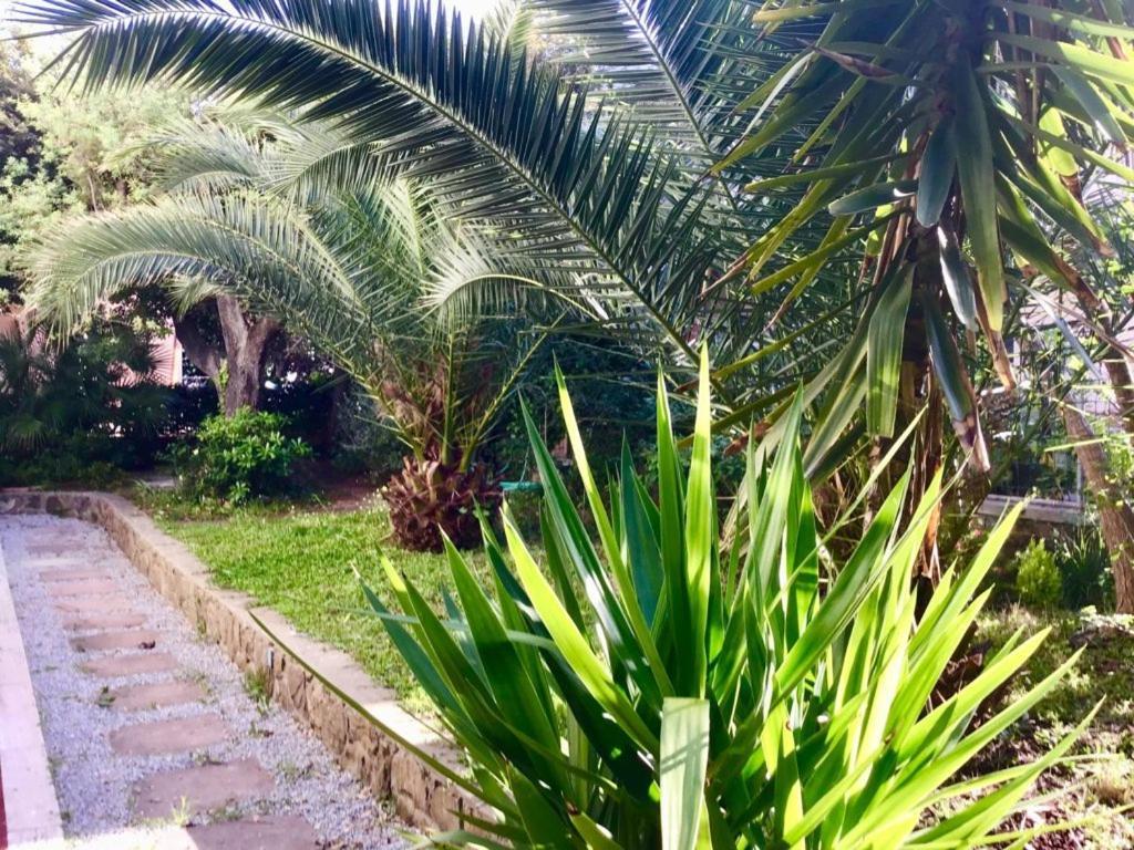 סן וינצ'נזו La Coccinella Residence מראה חיצוני תמונה